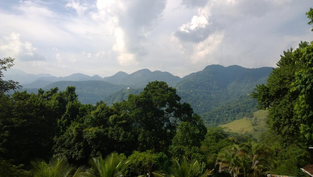Inn Chale Da Montanha